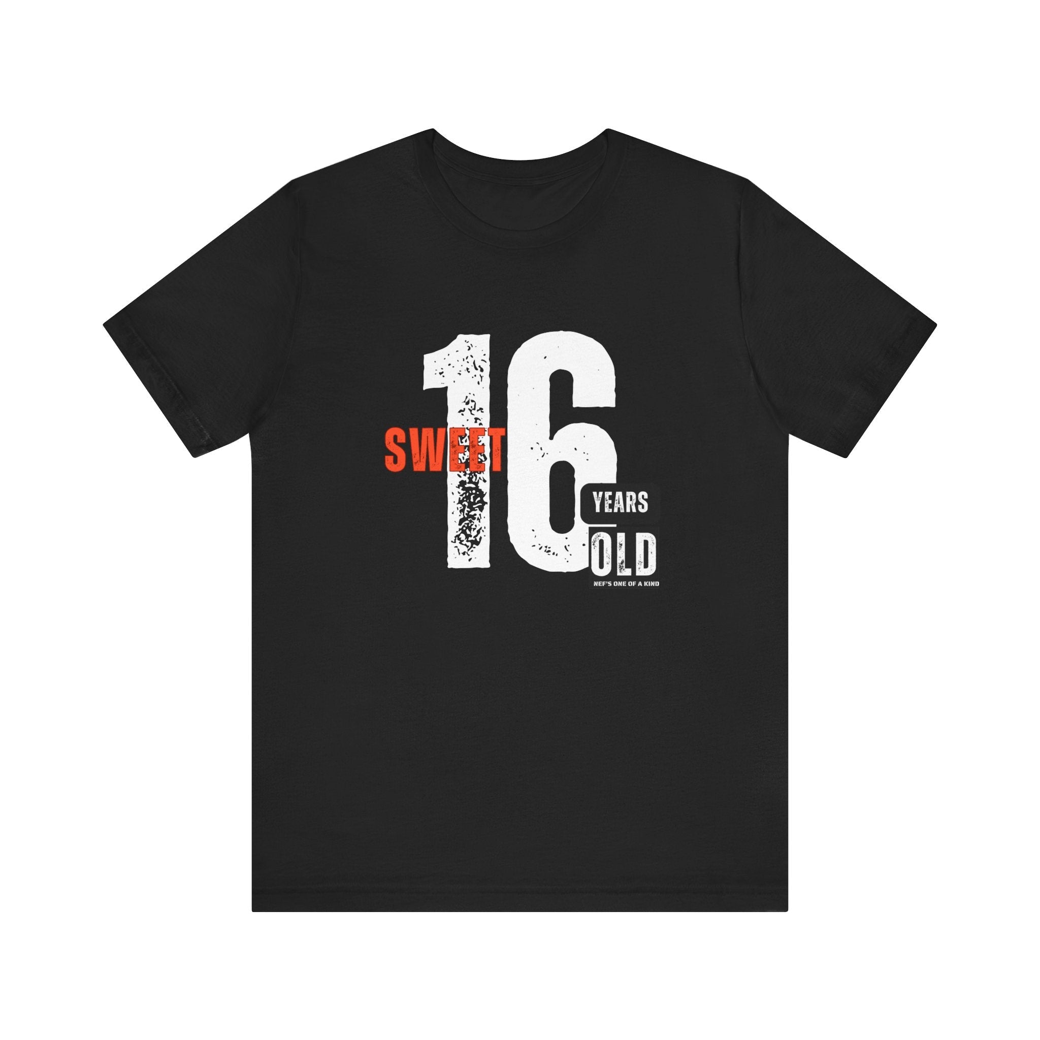 16year Old Unisex Adult Tee